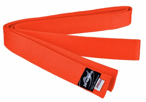 7206000-Budogurtel-orange-1